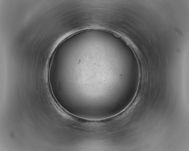 X0000115681246200911121239