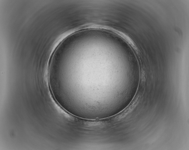 X0000115681247200911121239