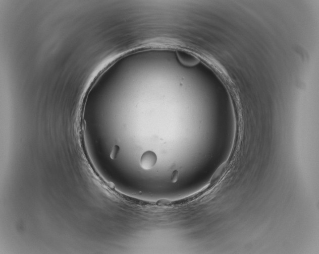 X0000115681248200911121239