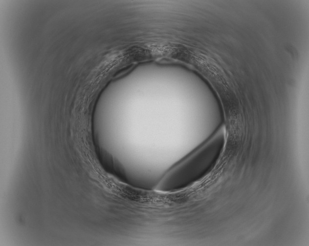 X0000115681249200911121238