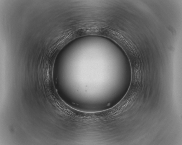 X0000115681250200911121238