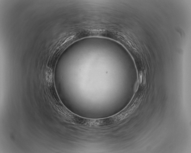 X0000115681251200911121238