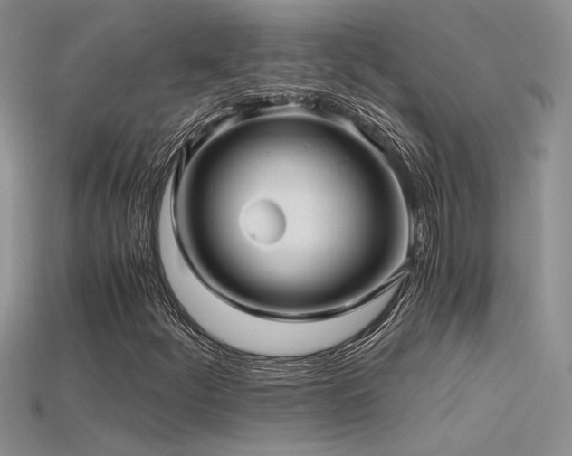 X0000115681252200911121238