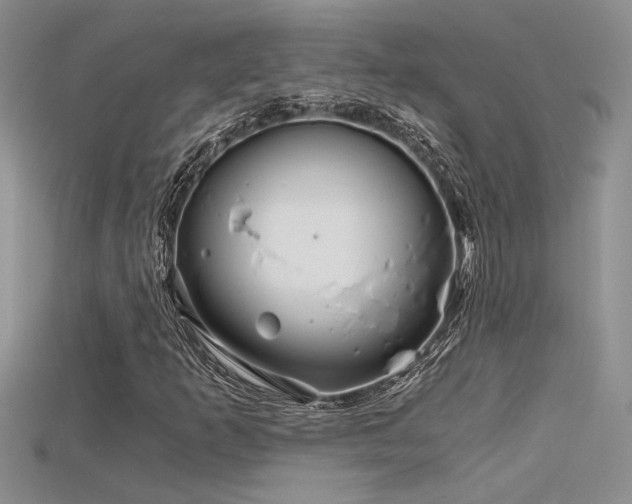 X0000115681253200911121238