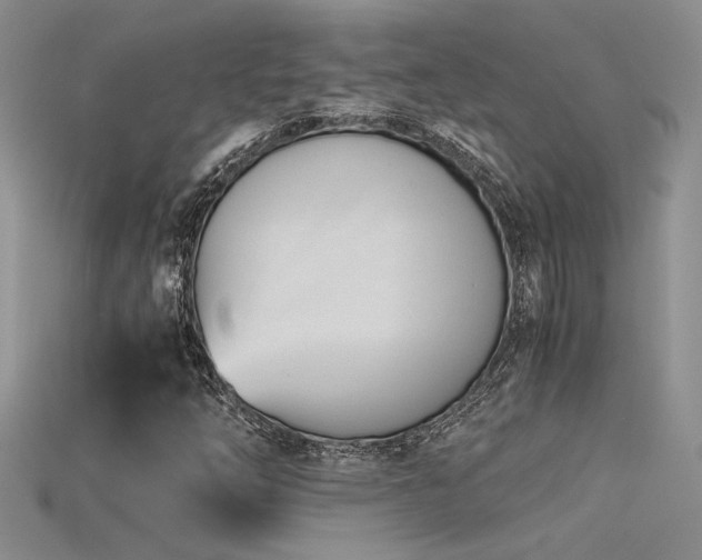 X0000115681254200911121238