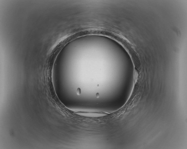 X0000115681255200911121238