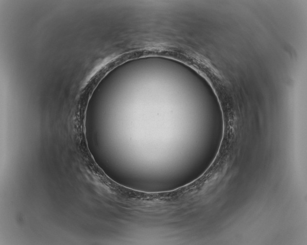 X0000115681256200911121238