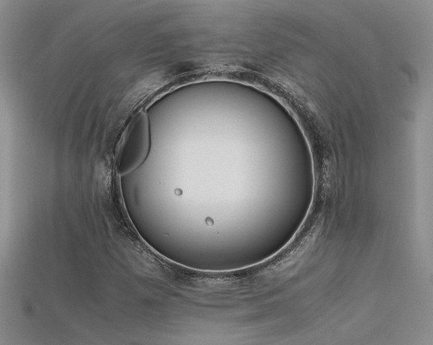 X0000115681257200911121238