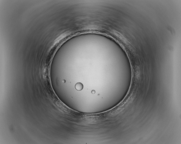 X0000115681258200911121238