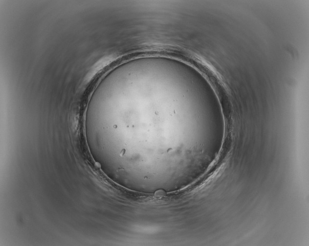 X0000115681259200911121238