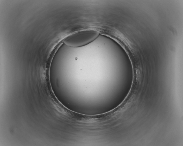 X0000115681260200911121238