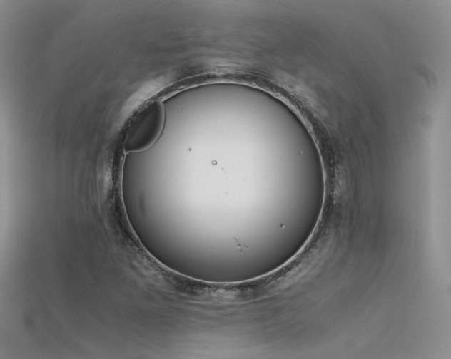 X0000115681261200911121238