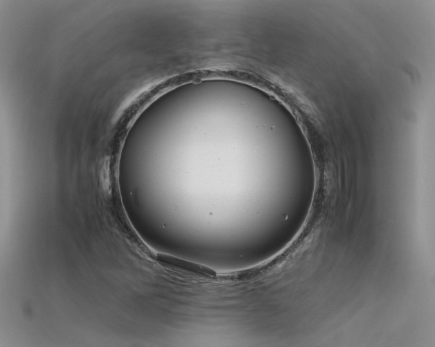 X0000115681262200911121238