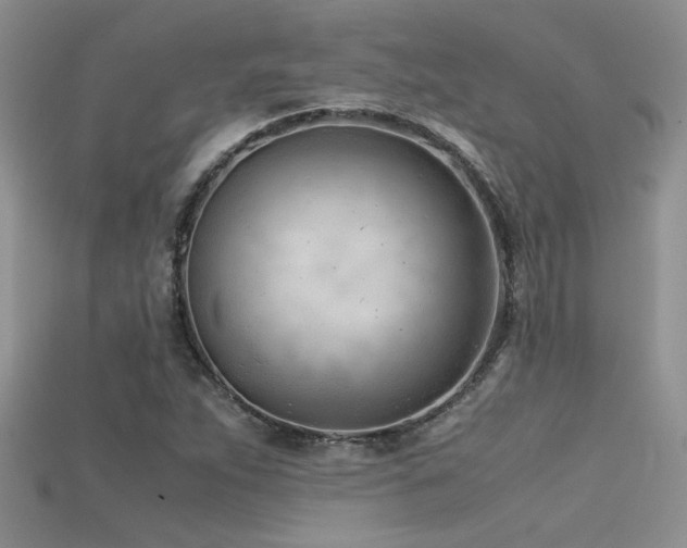 X0000115681263200911121238