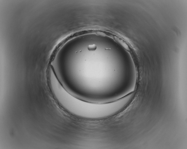 X0000115681264200911121238