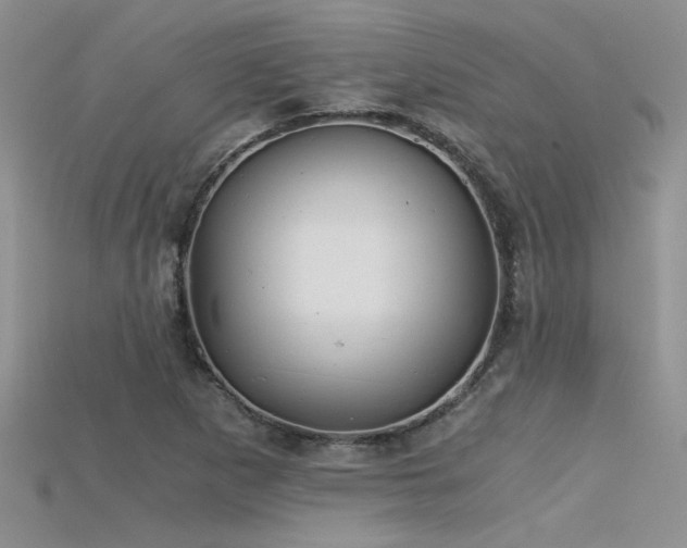 X0000115681265200911121238