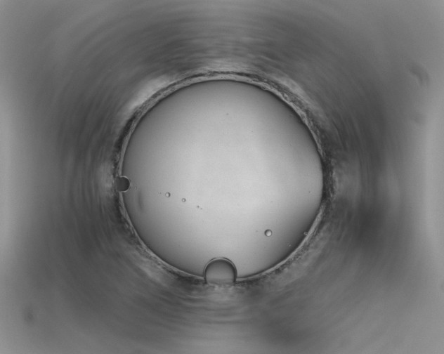 X0000115681266200911121238