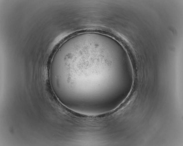 X0000115681267200911121238