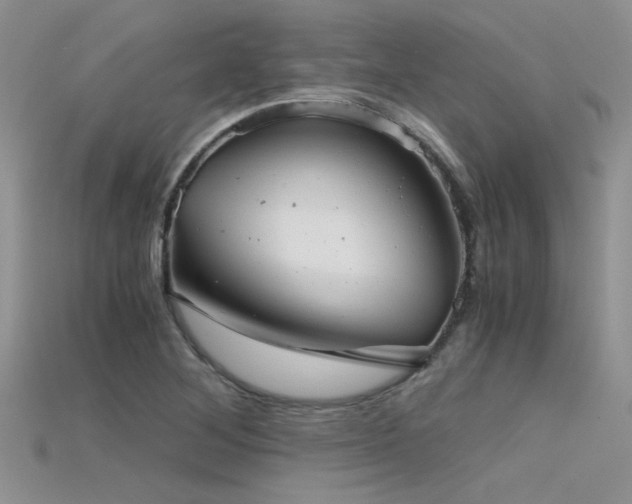 X0000115681268200911121238