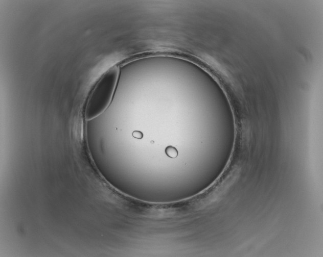 X0000115681269200911121238