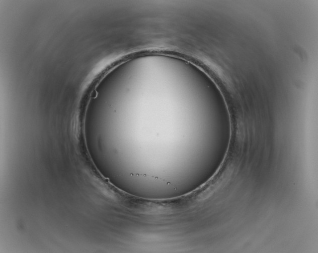 X0000115681270200911121238