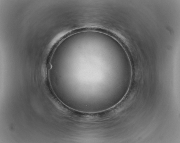 X0000115681271200911121238