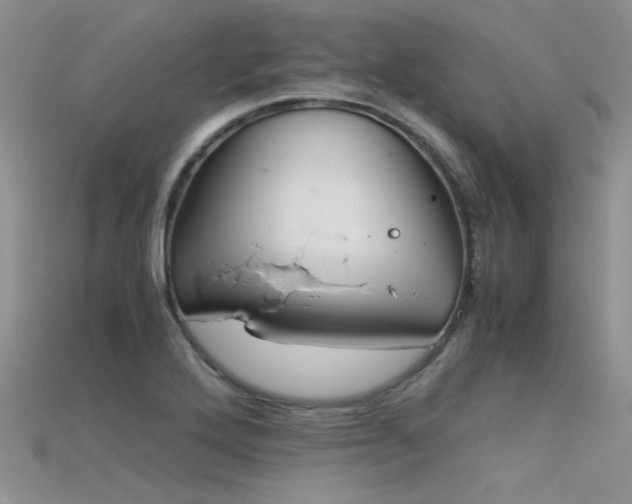 X0000115681272200911121238