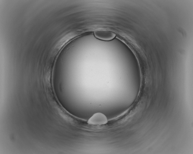 X0000115681273200911121238