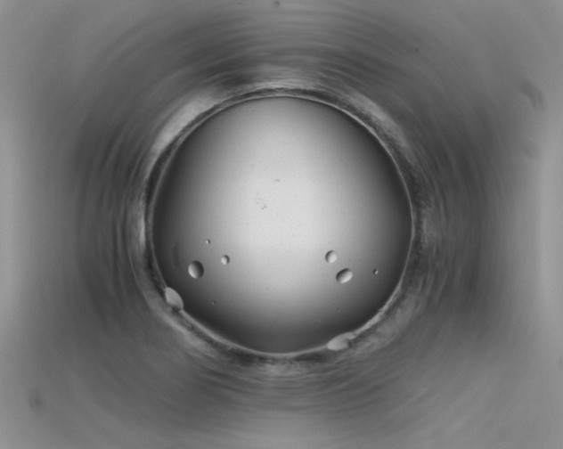 X0000115681274200911121238