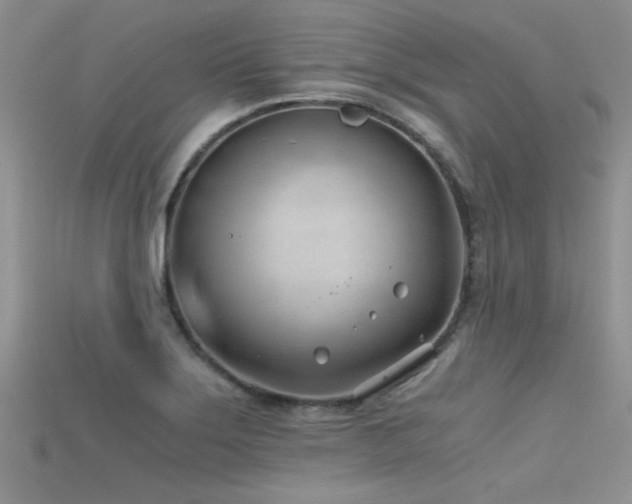 X0000115681275200911121238