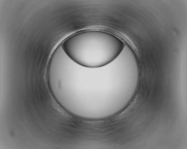 X0000115681276200911121238