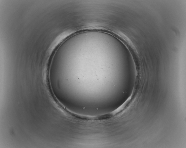 X0000115681277200911121238