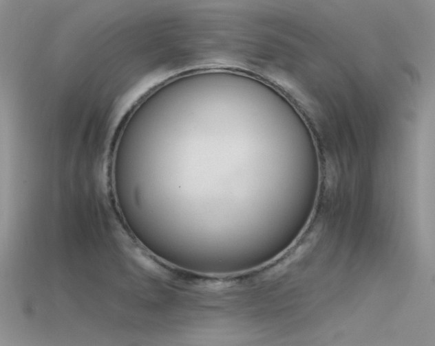 X0000115681278200911121238