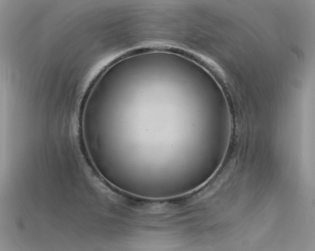 X0000115681279200911121238