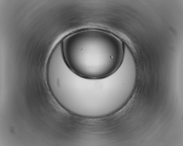 X0000115681280200911121238