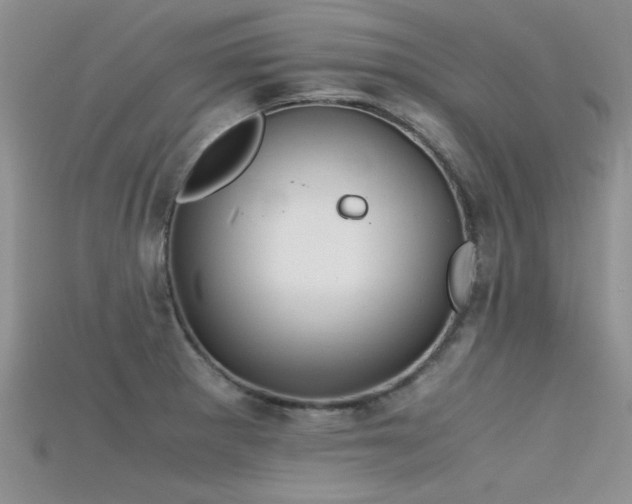 X0000115681281200911121238