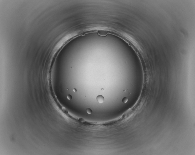 X0000115681282200911121238