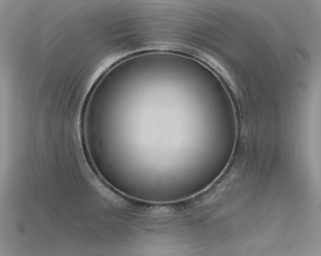 X0000115681283200911121238