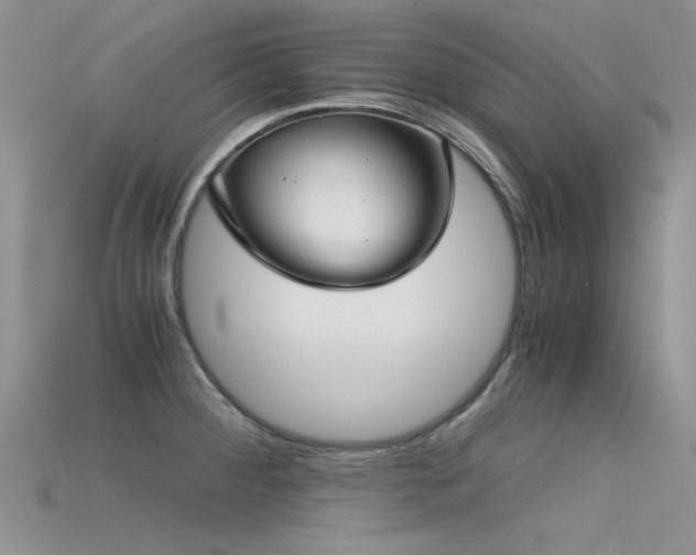 X0000115681284200911121238