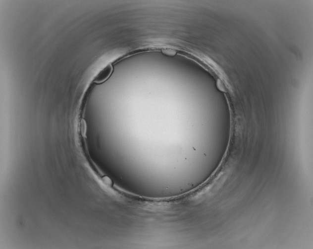 X0000115681285200911121238