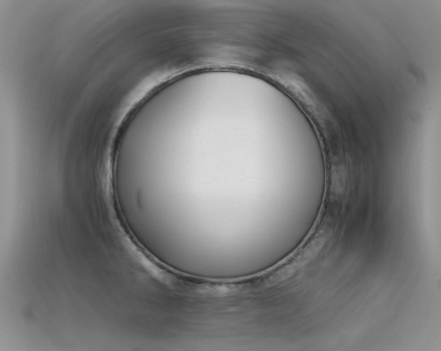 X0000115681286200911121238