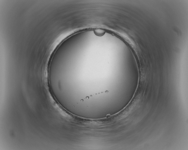 X0000115681287200911121238