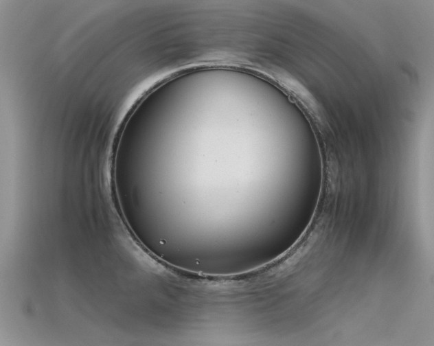 X0000115681288200911121238