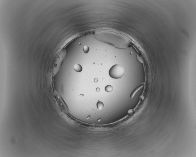 X0000115681289200911121238