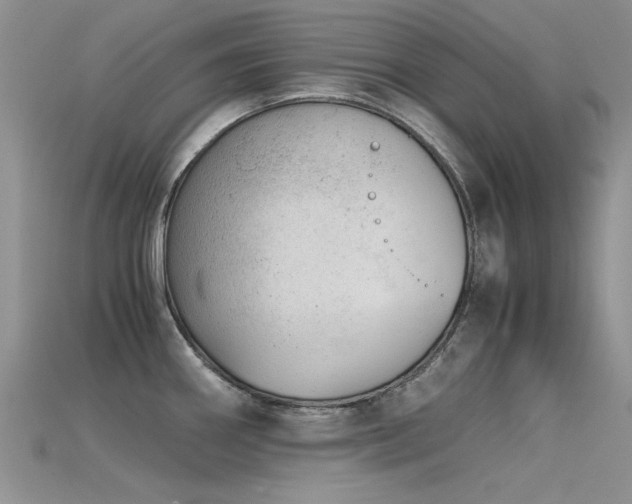 X0000115681290200911121238