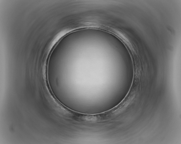 X0000115681291200911121238