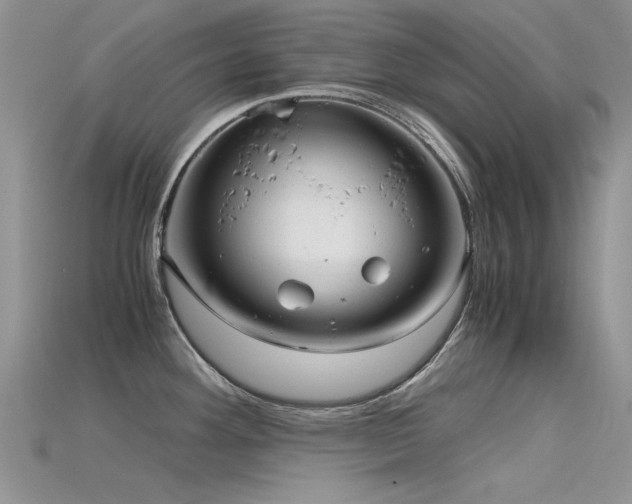 X0000115681292200911121238