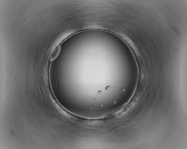 X0000115681293200911121238