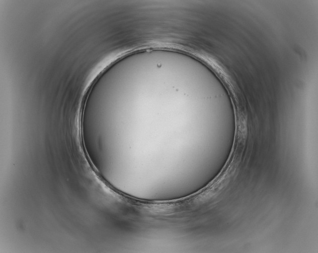 X0000115681294200911121238