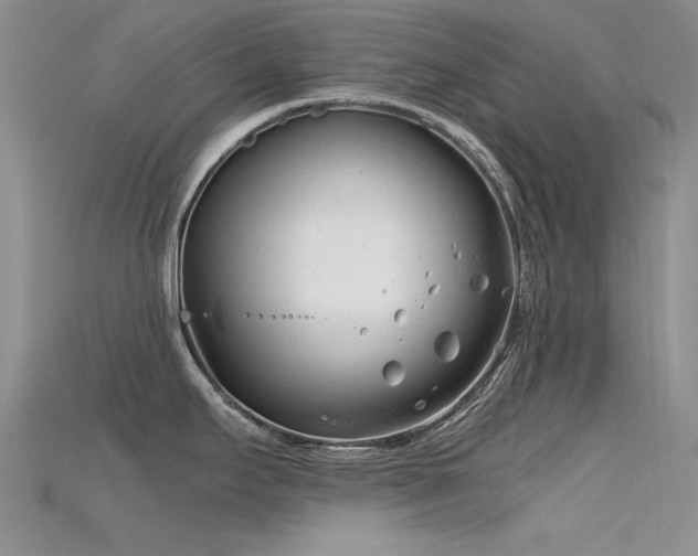 X0000115681295200911121238